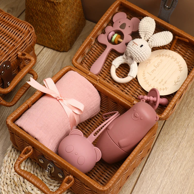Silicone Pacifier Animal Rattle GIFT BOXES