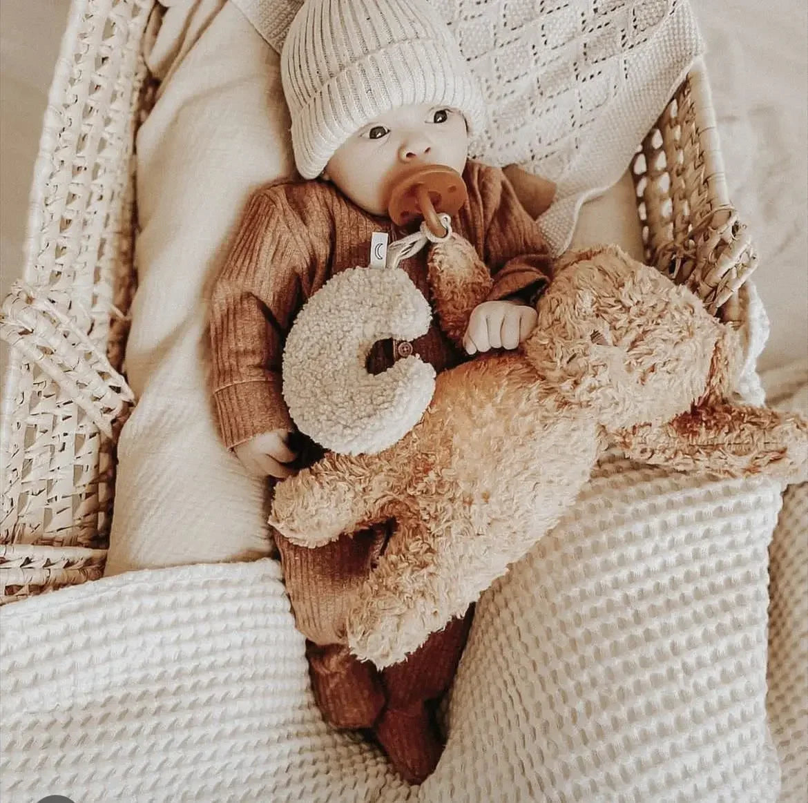 Teddy Pacifier Holder