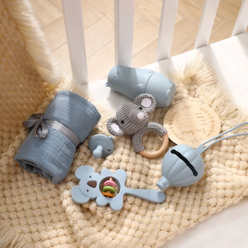 Silicone Pacifier Animal Rattle GIFT BOXES