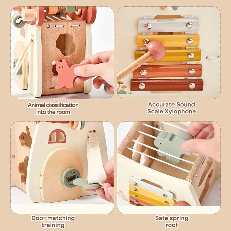 Music Percussion  House 5 in 1 Toy