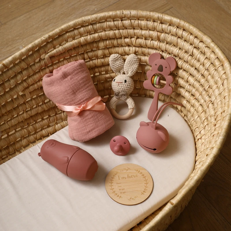 Silicone Pacifier Animal Rattle GIFT BOXES