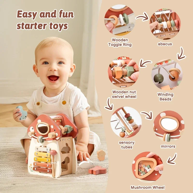 Music Percussion  House 5 in 1 Toy