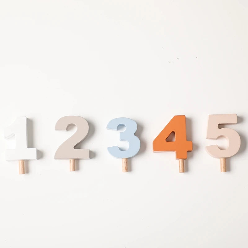 Wooden Montessori Toys