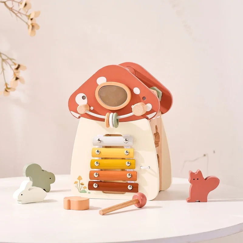 Music Percussion  House 5 in 1 Toy