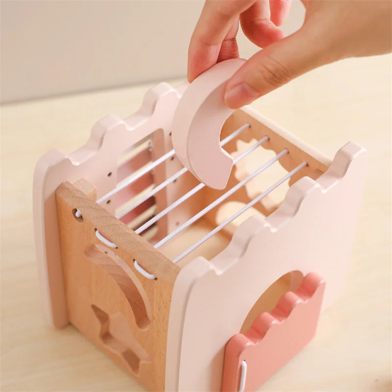 Castle House Blocks