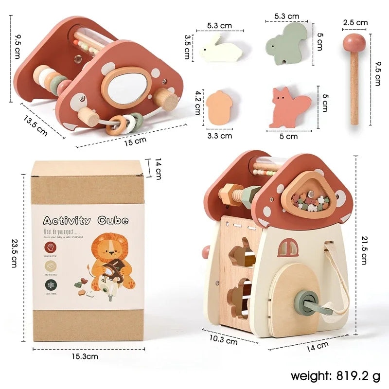 Music Percussion  House 5 in 1 Toy