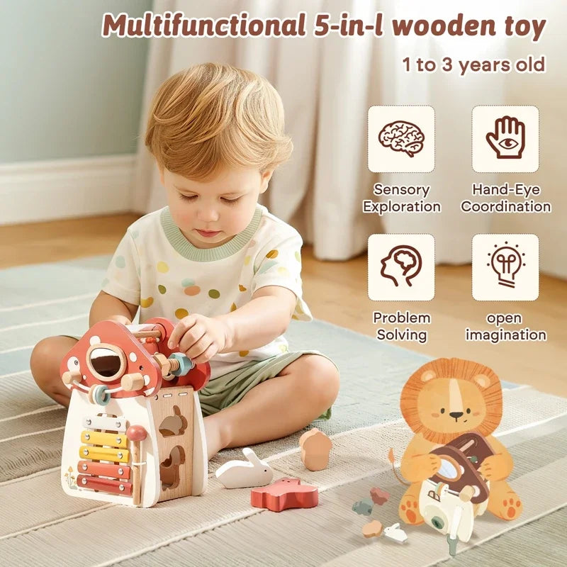 Music Percussion  House 5 in 1 Toy