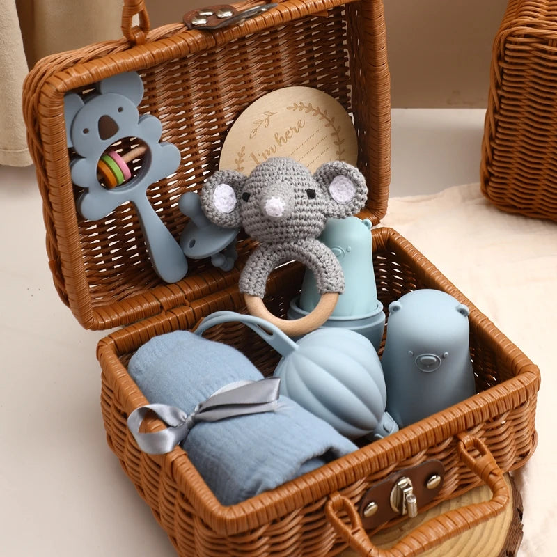 Silicone Pacifier Animal Rattle GIFT BOXES