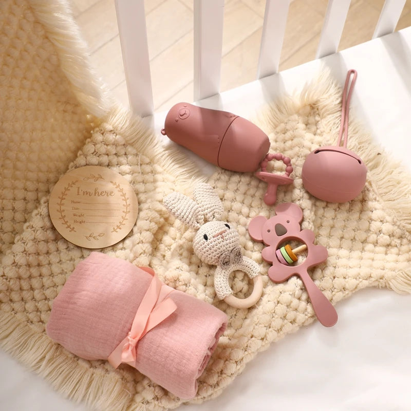 Silicone Pacifier Animal Rattle GIFT BOXES