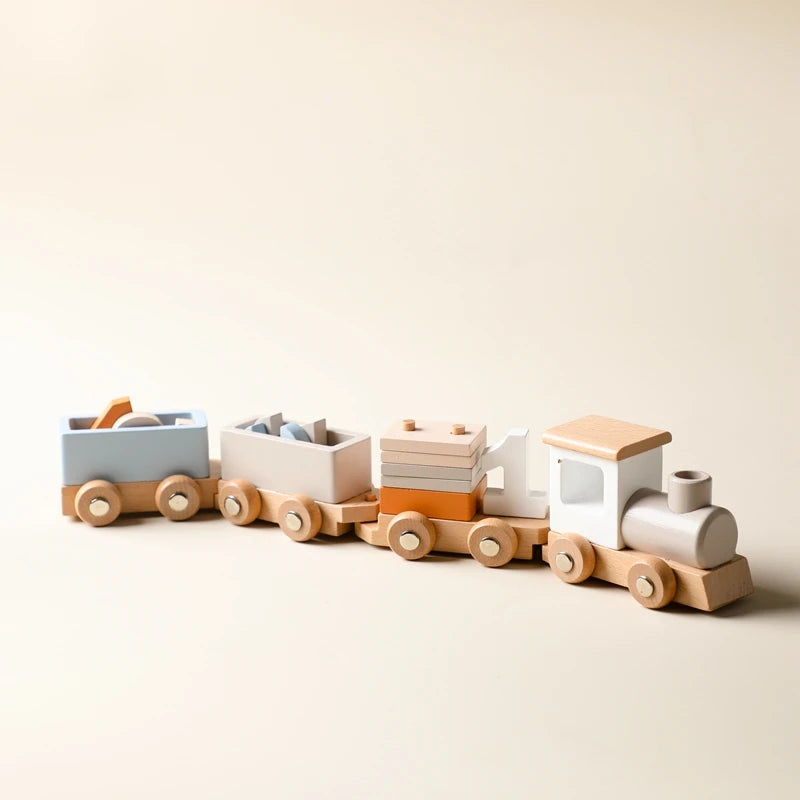 Wooden Montessori Toys