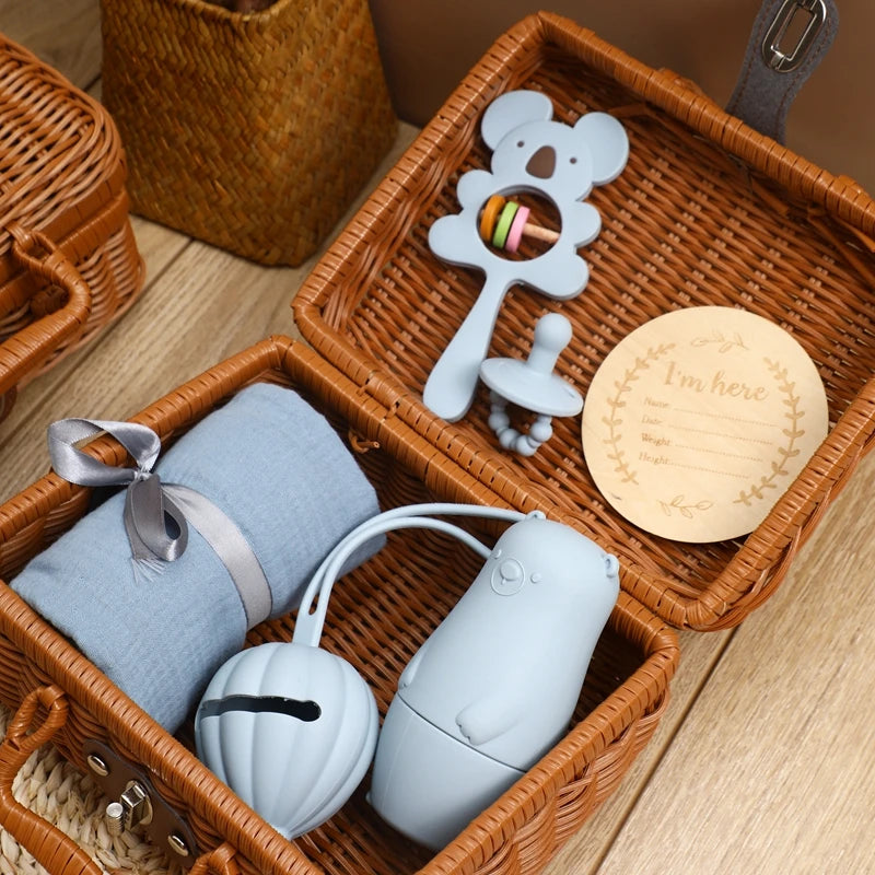 Silicone Pacifier Animal Rattle GIFT BOXES
