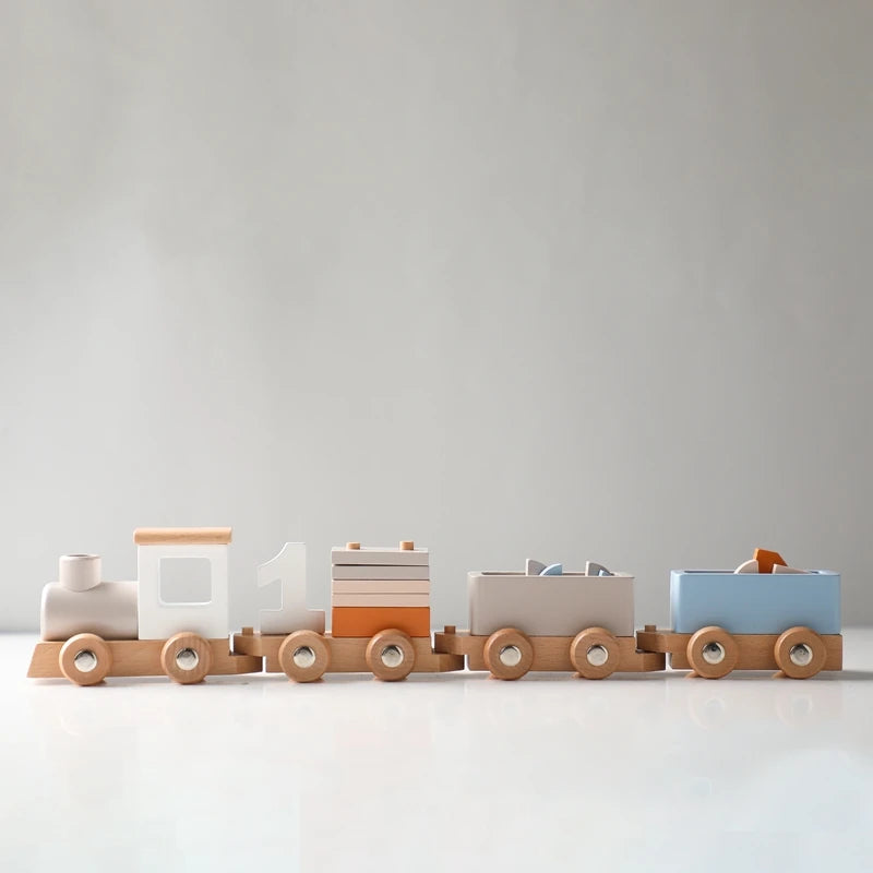 Wooden Montessori Toys