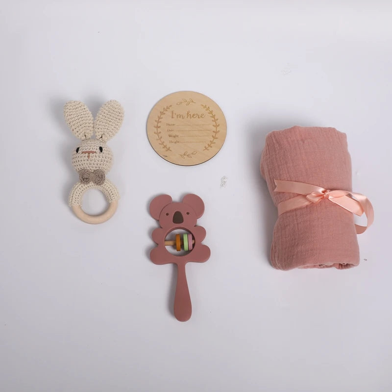 Silicone Pacifier Animal Rattle GIFT BOXES