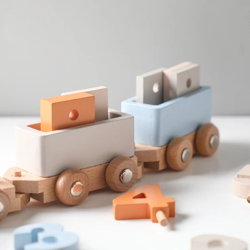 Wooden Montessori Toys