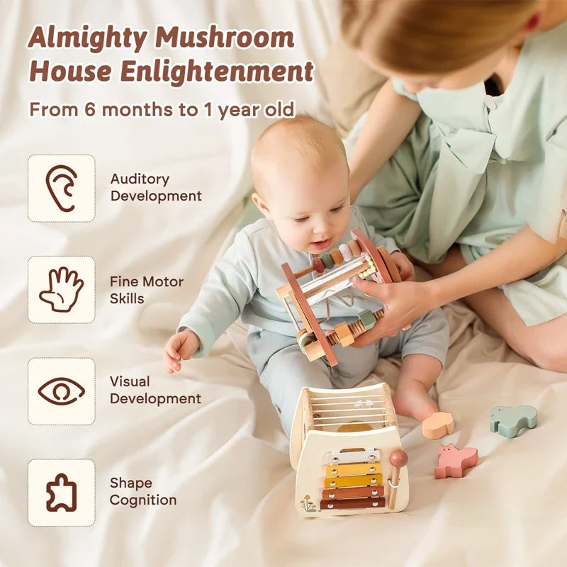 Music Percussion  House 5 in 1 Toy