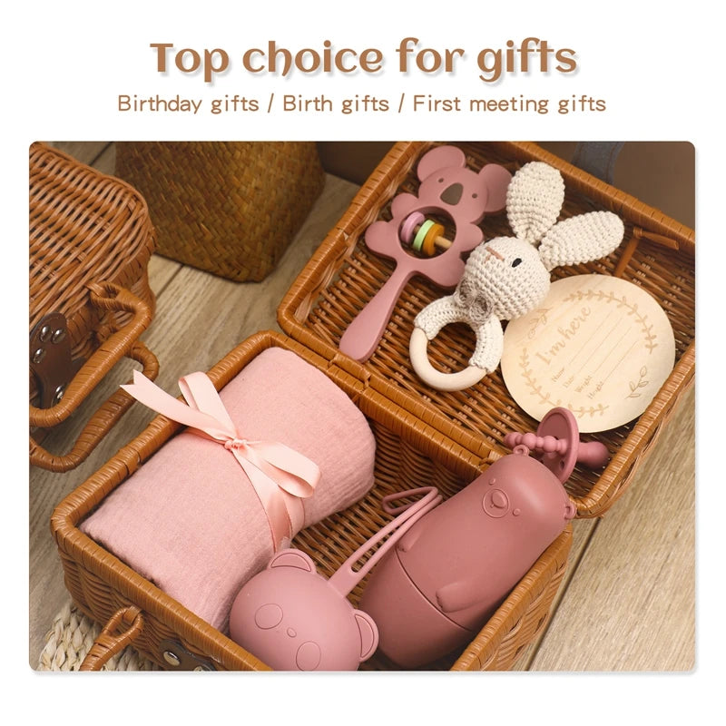 Silicone Pacifier Animal Rattle GIFT BOXES
