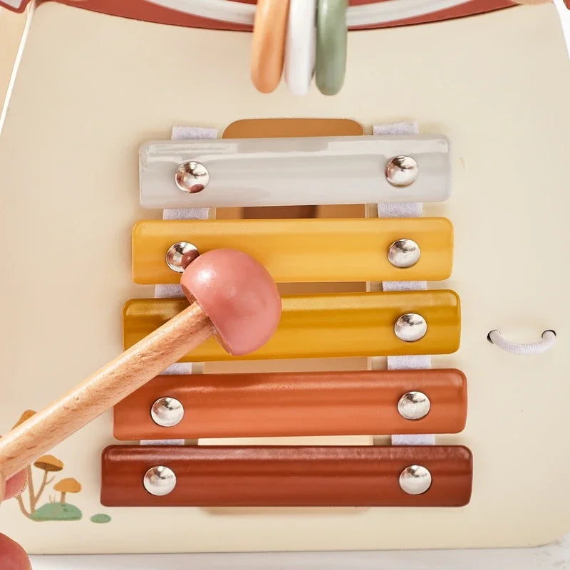 Music Percussion  House 5 in 1 Toy