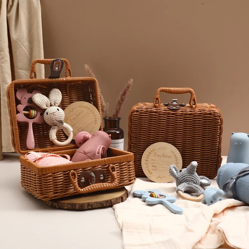 Silicone Pacifier Animal Rattle GIFT BOXES