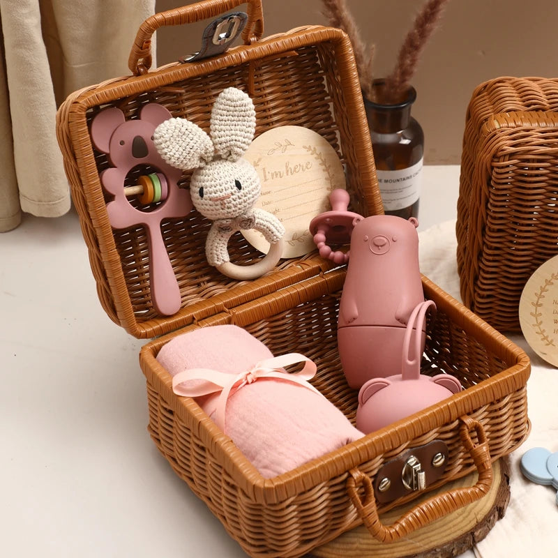 Silicone Pacifier Animal Rattle GIFT BOXES