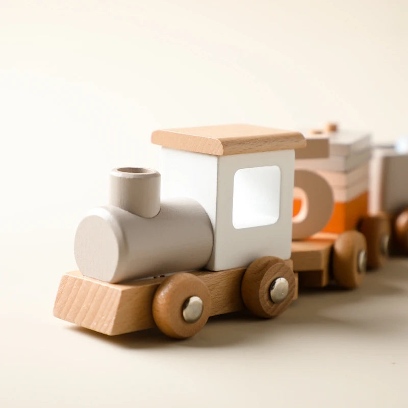 Wooden Montessori Toys
