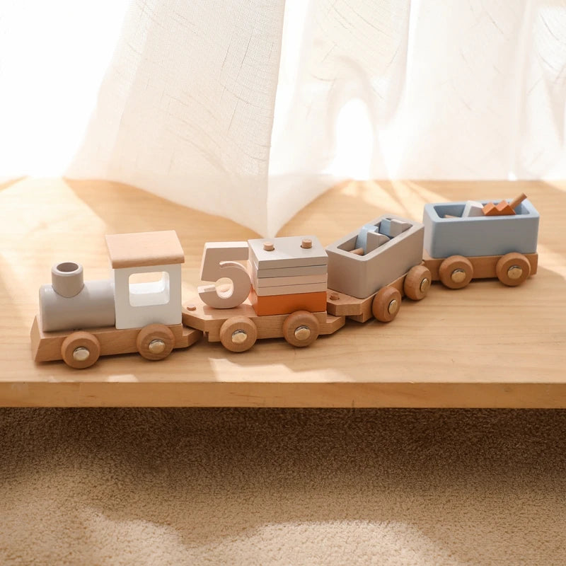 Wooden Montessori Toys
